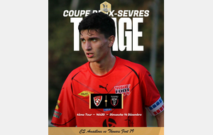 D1 et D5 : Tirages des prochains tours de coupes