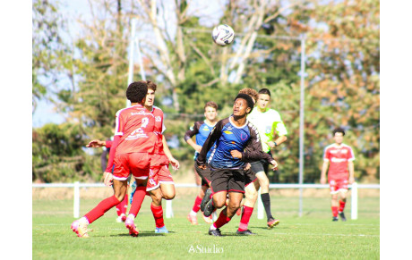 𝗖𝗢𝗨𝗣𝗘 𝗚𝗔𝗠𝗕𝗔𝗥𝗗𝗘𝗟𝗟𝗔